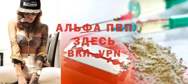 стаф Верея