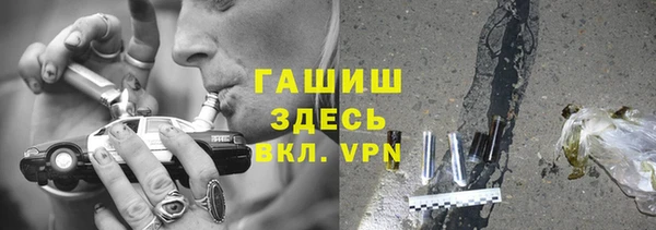 стаф Верея