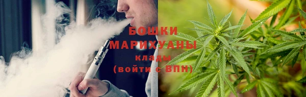 стаф Верея