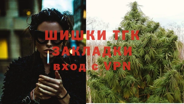 стаф Верея