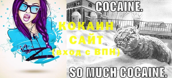 стаф Верея