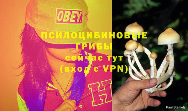 дурь Верхний Тагил