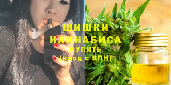 стаф Верея