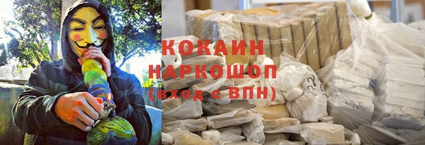 хмурый Бикин