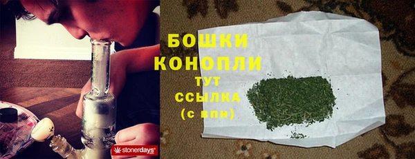 дурь Верхний Тагил