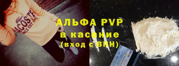 стаф Верея