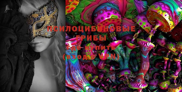 стаф Верея