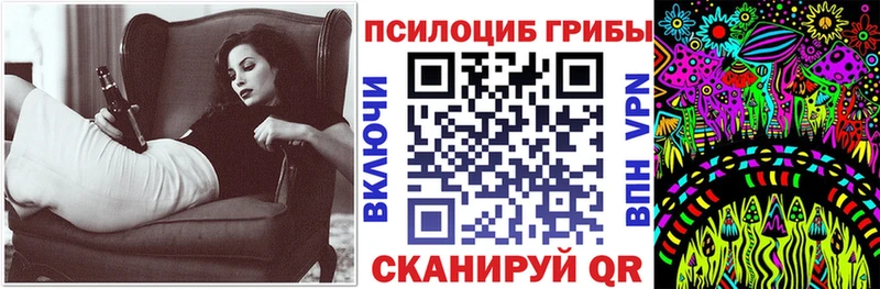 Галлюциногенные грибы Psilocybine cubensis  Вилючинск 